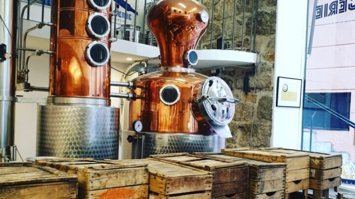 Monaco: la récolte des agrumes amers bat son plein