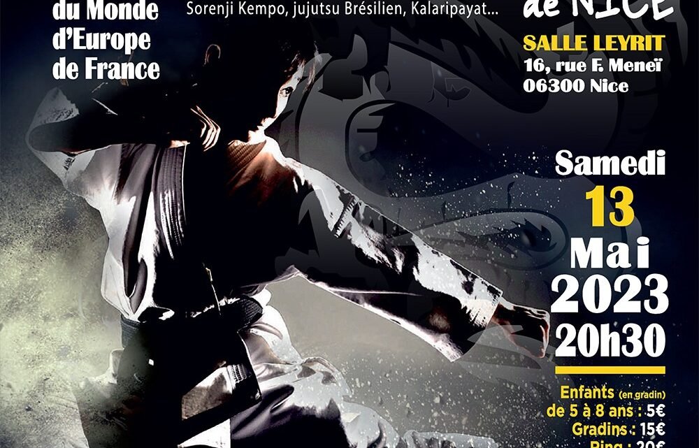 Nice: La 3e Nuit des arts martiaux aura lieu ce samedi Nice: La 3e Nuit des arts martiaux aura lieu ce samedi