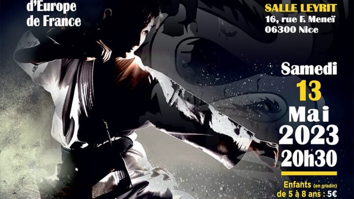 Nice: La 3e Nuit des arts martiaux aura lieu ce samedi