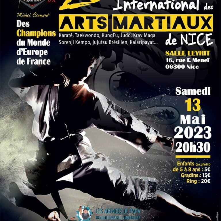 Nice: La 3e Nuit des arts martiaux aura lieu ce samedi