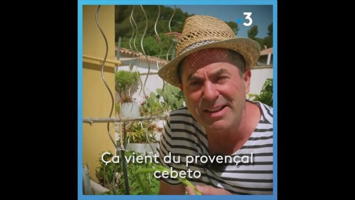 Parlez-vous le sud ? Connaissez-vous la définition de « cébette » ?