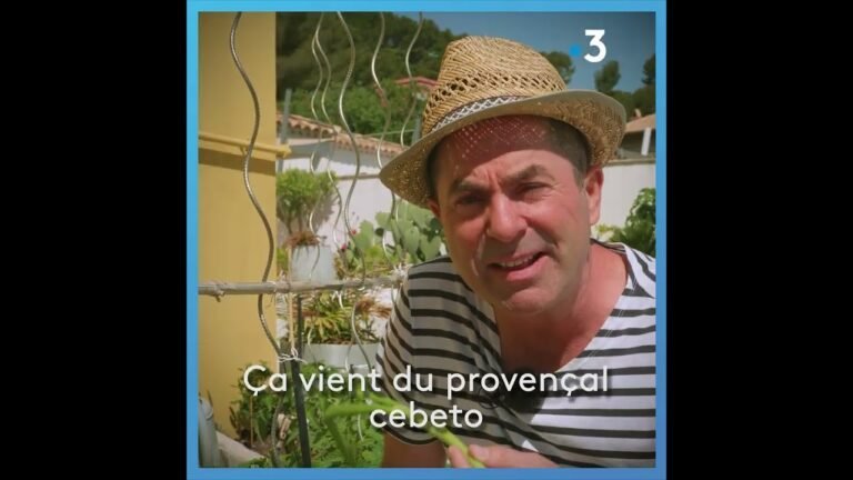 Parlez-vous le sud ? Connaissez-vous la définition de « cébette » ?