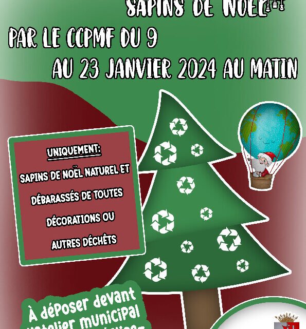Ramassage à domicile des sapins de Noël dans cette commune Ramassage à domicile des sapins de Noël dans cette commune