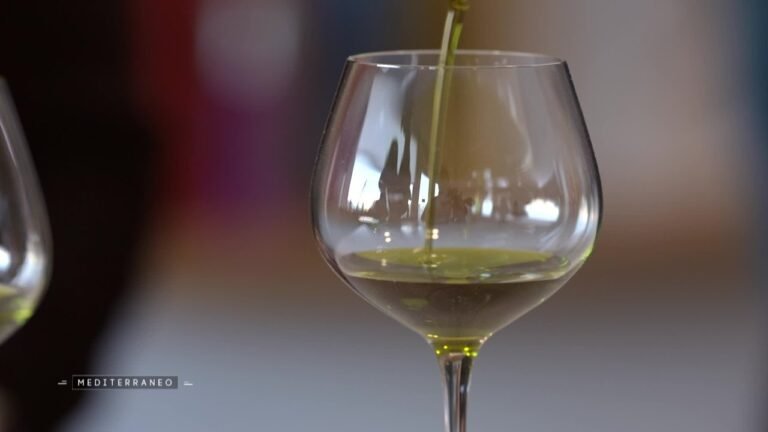Succès de la production d&rsquo;huile d&rsquo;olive en Andalousie : le cas de MEDITERRANEO