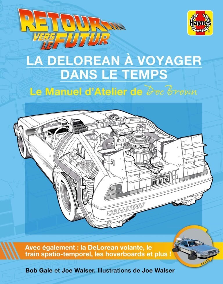 – Voyagez dans le temps avec la DeLorean de « Retour vers le futur » !