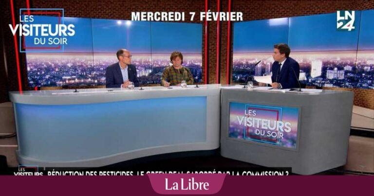Actualités du Sud : Revue du mercredi 7 février