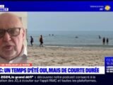 Un propriétaire choqué poursuit en justice après que son chat a été touché par deux tirs de carabine à plomb