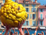 Le citron "imparfait" triomphe à Menton