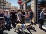 Un homme malvoyant et son chien non-acceptés dans un supermarché de Marseille, la polémique enfle