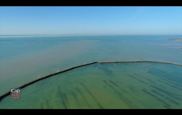 Exploration des espèces invasives de la Méditerranée à Gökova, en Turquie