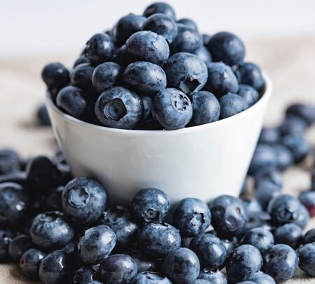 Le bon plan des Alpes-Maritimes: Agrumes corses bio à petit prix