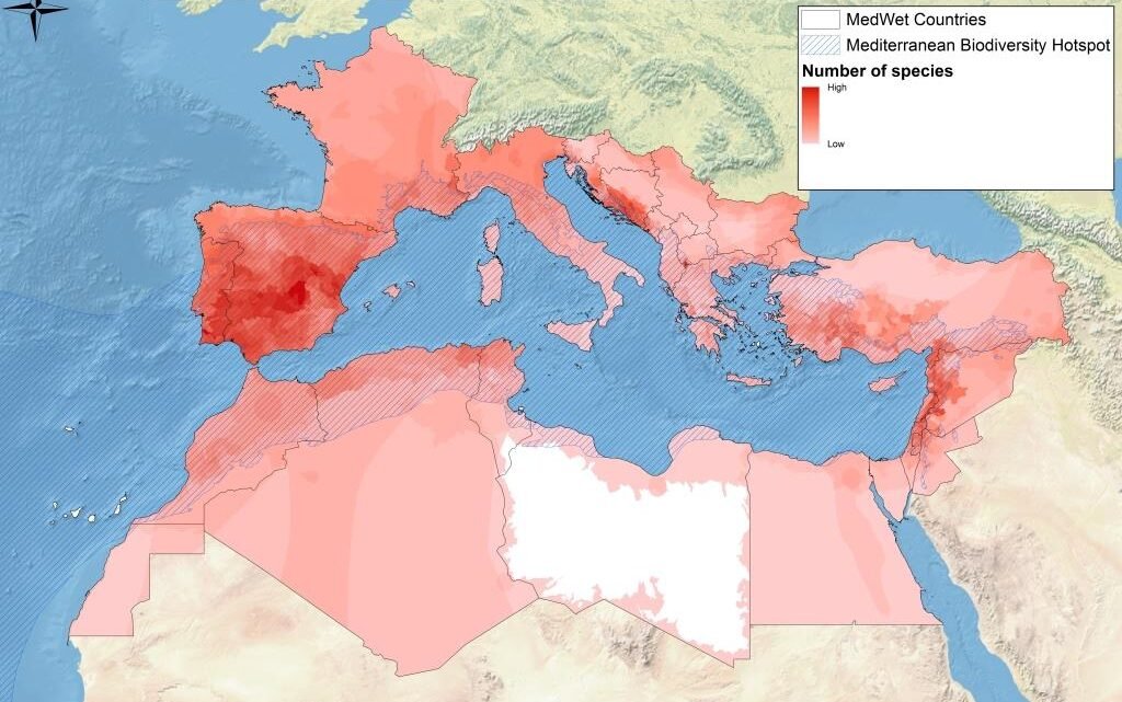 Réchauffement climatique en Méditerranée: les conséquences sur la biodiversité Réchauffement climatique en Méditerranée: les conséquences sur la biodiversité