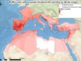 Réchauffement climatique en Méditerranée: les conséquences sur la biodiversité