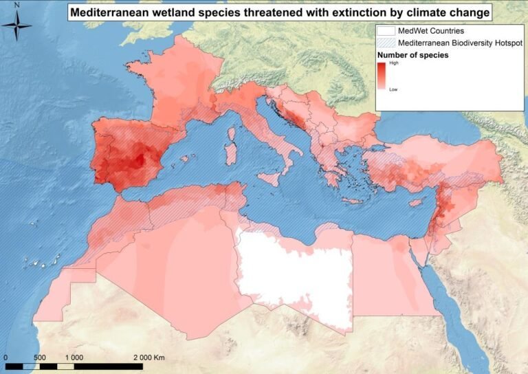 Réchauffement climatique en Méditerranée: les conséquences sur la biodiversité