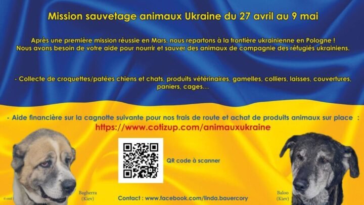 Achetez des accessoires pour soutenir le chenil de Digne en difficultés financières