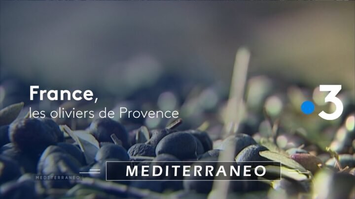 Épices Village: Découvrez PrioriTerre, les épices bio de Madagascar