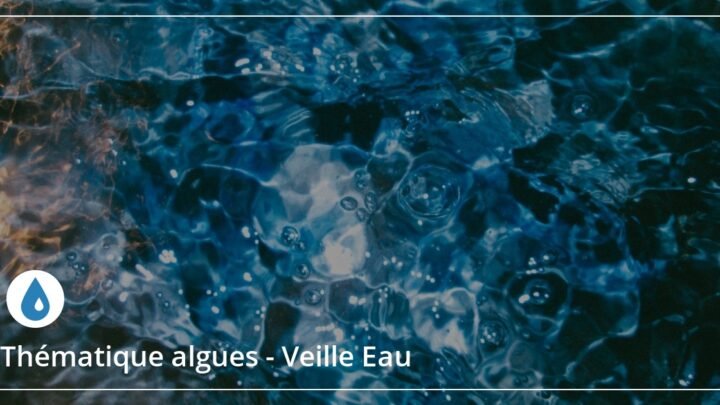Les Adous, joyaux de biodiversité alimentés par les eaux souterraines