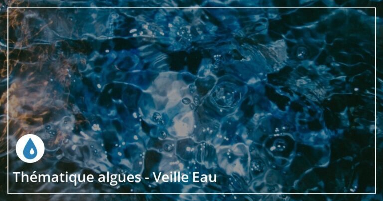 Les Adous, joyaux de biodiversité alimentés par les eaux souterraines