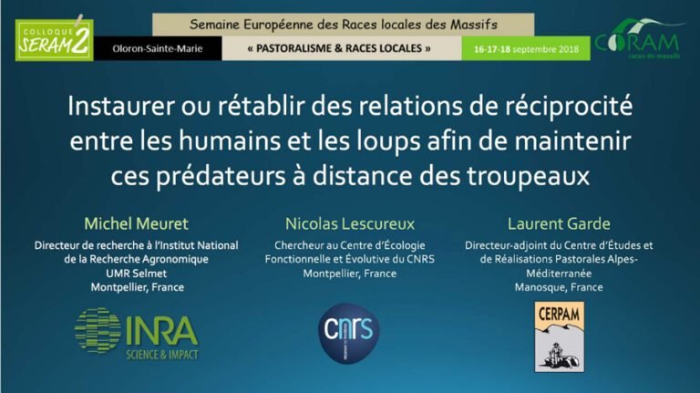 Les autorités des Alpes réclament un recensement actualisé des loups et une hausse des autorisations de chasse