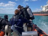 Un trafiquant de fruits de mer sous surveillance pour les fêtes de fin d'année