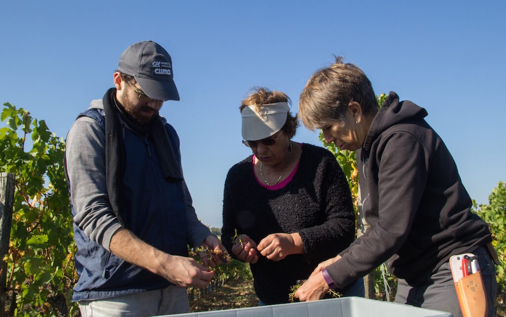 Rencontre avec Heidi, éleveuse passionnée et star des réseaux sociaux de l’agriculture Rencontre avec Heidi, éleveuse passionnée et star des réseaux sociaux de l’agriculture