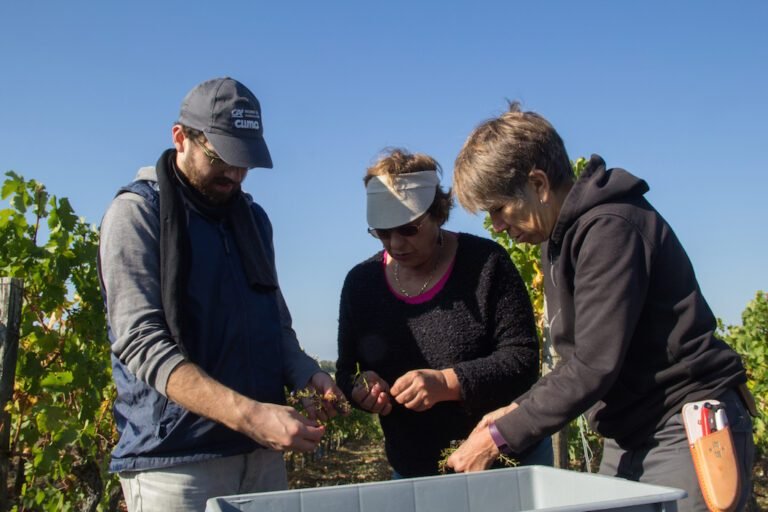 Rencontre avec Heidi, éleveuse passionnée et star des réseaux sociaux de l’agriculture