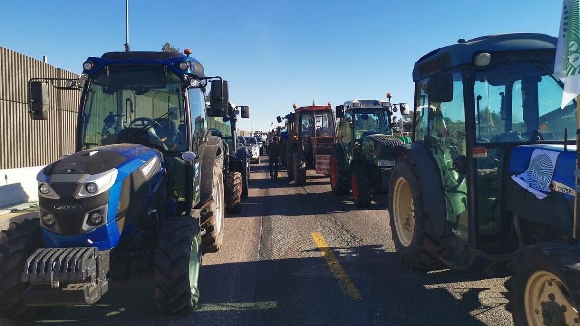 Un supermarché à Manosque bloqué par des agriculteurs en colère, à l’appel de la Coordination rurale Un supermarché à Manosque bloqué par des agriculteurs en colère, à l’appel de la Coordination rurale