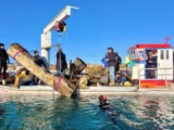 Nettoyage en profondeur des fonds marins à Golfe-Juan : près d'une tonne de déchets ramassés