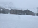 Pollens en folie dans les Alpes-Maritimes: une alerte rouge avant le printemps