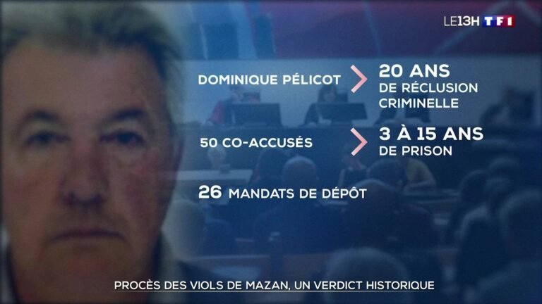 Réactions au verdict du procès des viols de Mazan