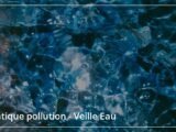 Reportage exclusif : Plongée au cœur de la culture méridionale dans le JT du Sud du samedi 8 février