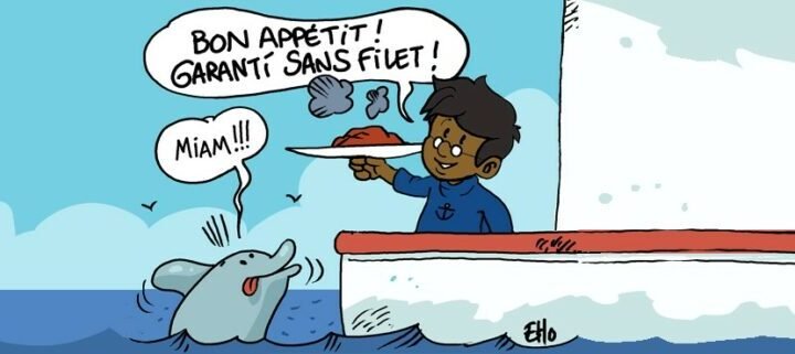 Un crime animalier à Nice: condamnation pour avoir battu un chat en public