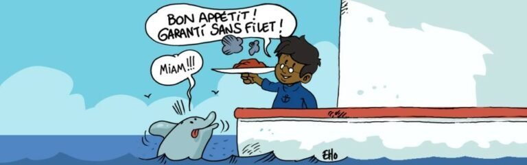 Un crime animalier à Nice: condamnation pour avoir battu un chat en public