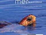 : Un documentaire sur les dauphins filmé à Port-Cros met en lumière leur nature sauvage.