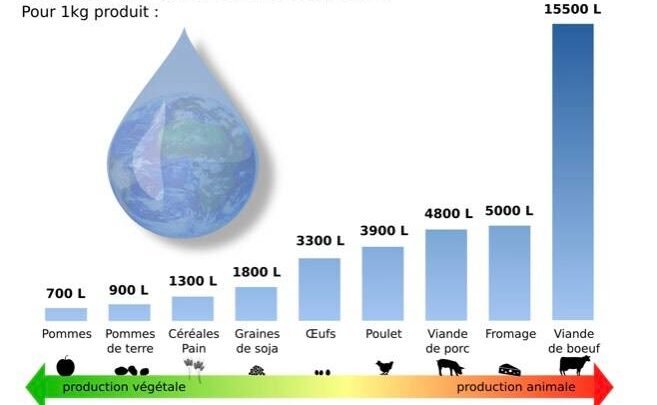 Augmentation des options végétariennes dans les repas scolaires par L214