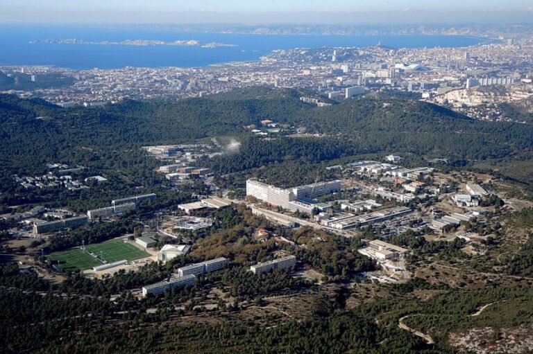 Bataille contre les sangliers: la préfecture de Marseille organise une battue en pleine ville