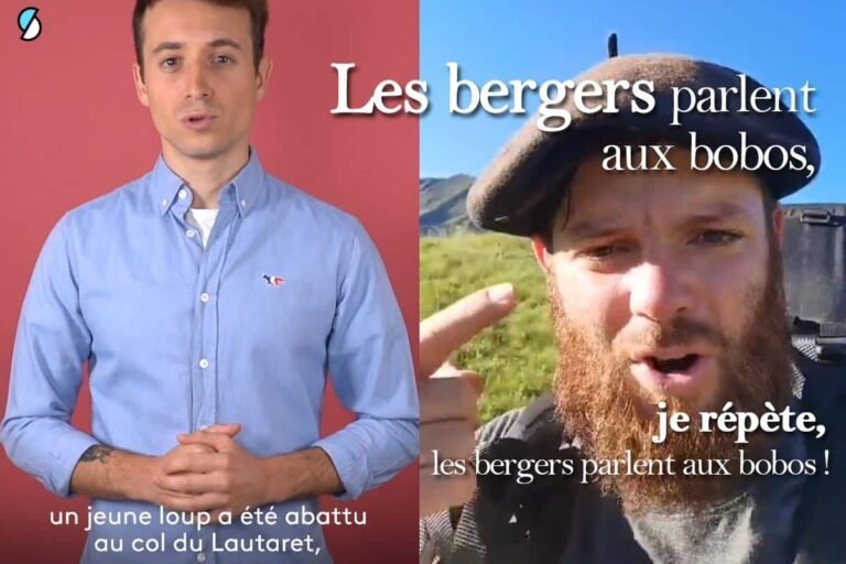 Chasser le chamois avec le photographe animalier Corentin Esmieu