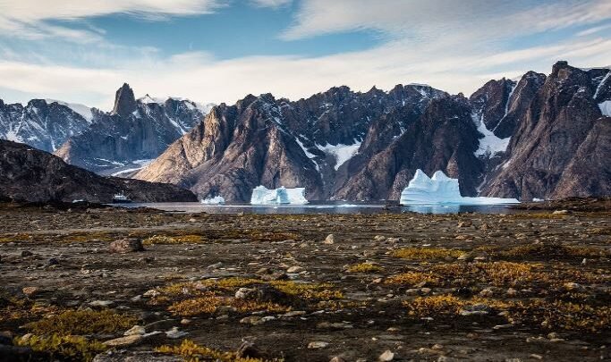 L’association One Voice dénonce les ravages de la pêche illégale sur la faune aviaire