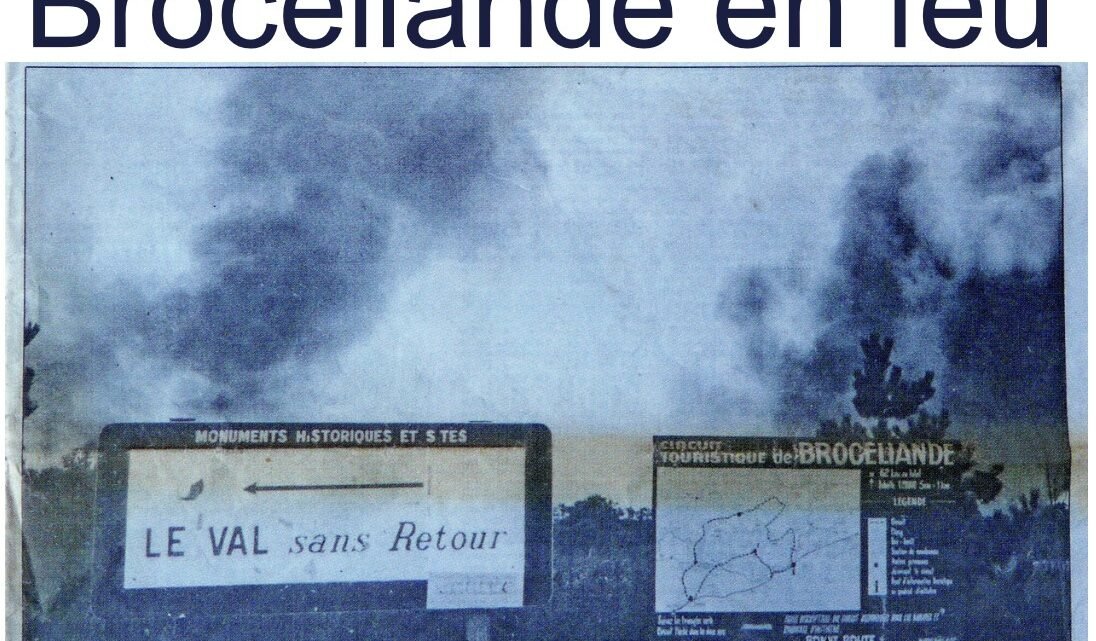 les incendies mystérieux: sur les traces du pyromane les incendies mystérieux: sur les traces du pyromane