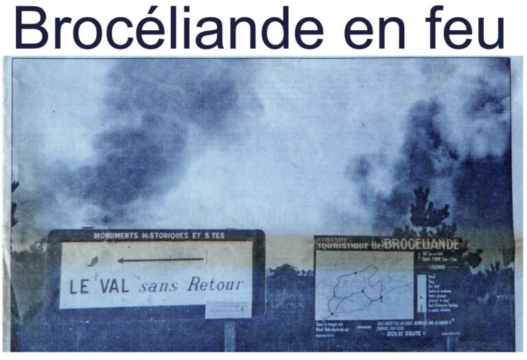 les incendies mystérieux: sur les traces du pyromane