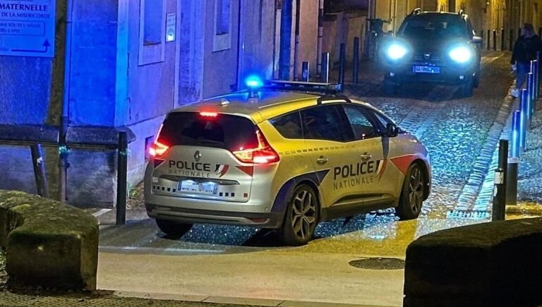 Un suspect en garde à vue après une altercation avec deux policiers