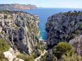 La résurgence des méduses violettes sur la Côte d'Azur