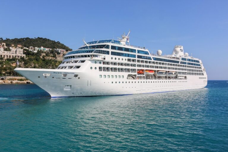 Le maire de Nice, Christian Estrosi, envisage d&rsquo;interdire l&rsquo;accès aux bateaux de croisière.