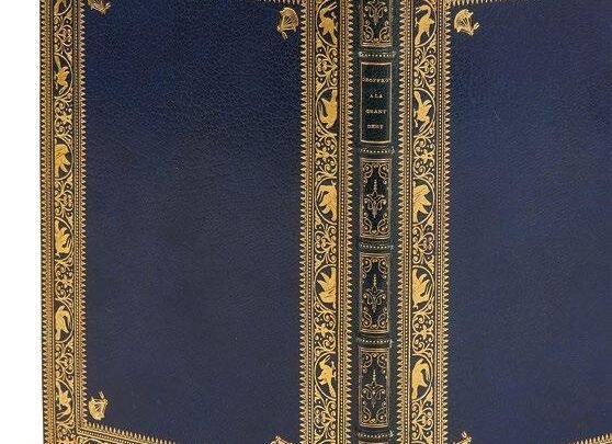 Opinions azurées : débat politique du jeudi 24 avril