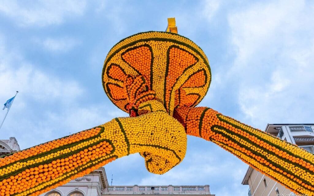 Préparatifs en coulisses pour la Fête du citron de Menton Préparatifs en coulisses pour la Fête du citron de Menton