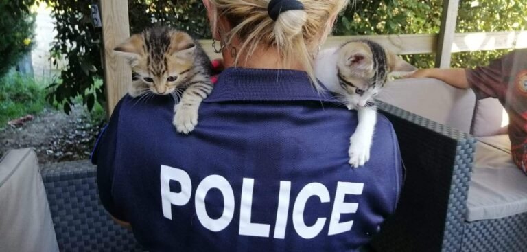Renforcer les compétences des forces de l&rsquo;ordre dans la lutte contre la maltraitance animale
