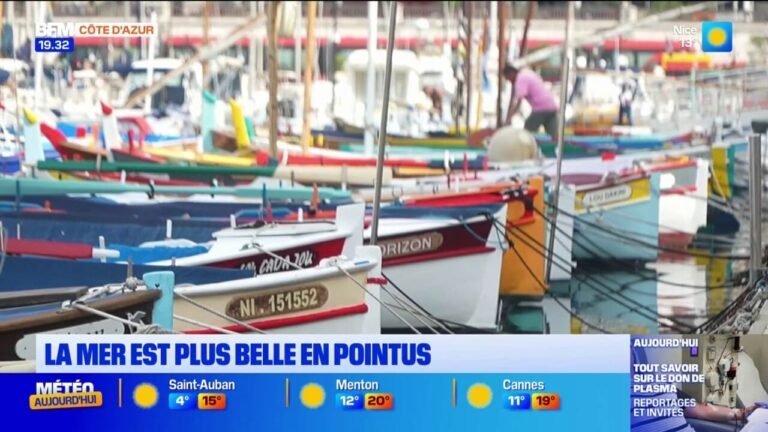 Dans notre histoire : les pointus