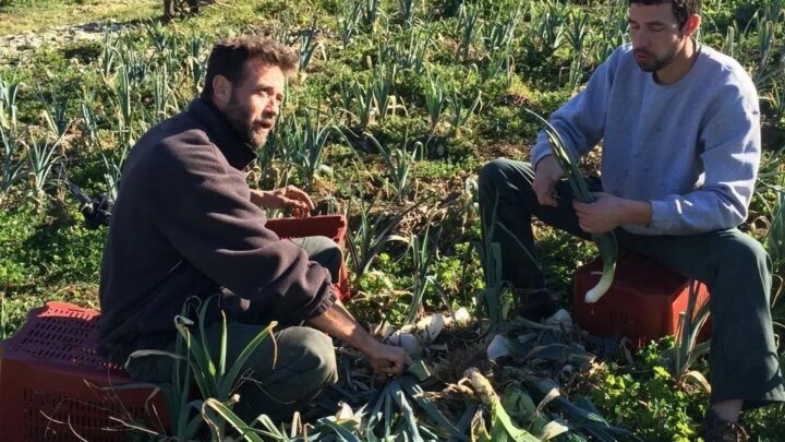 REPORTAGE. Quand la ferme municipale alimente la cantine, c’est un circuit vraiment ultra-court  (Ouest-France)