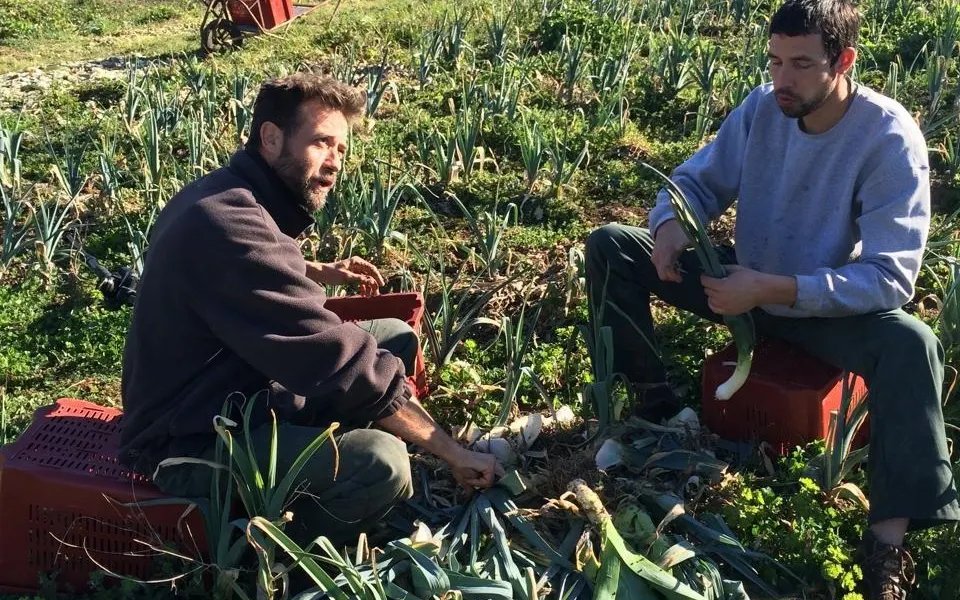 REPORTAGE. Quand la ferme municipale alimente la cantine, c’est un circuit vraiment ultra-court  (Ouest-France)