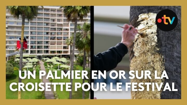 #Cannes2025 : un palmier décoré de feuilles d’or sur la Croisette à Cannes